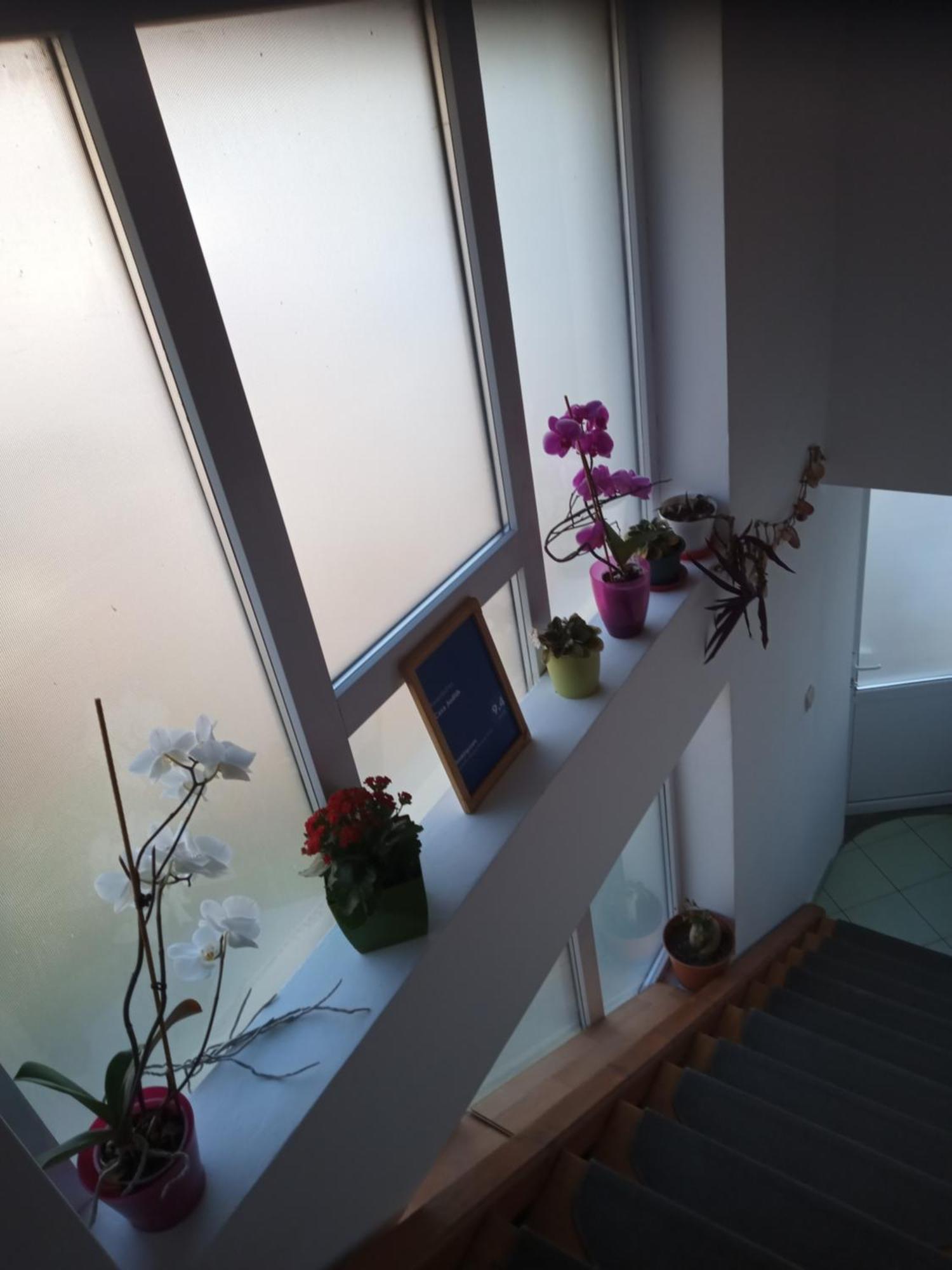 Casa Judith Турда Номер фото