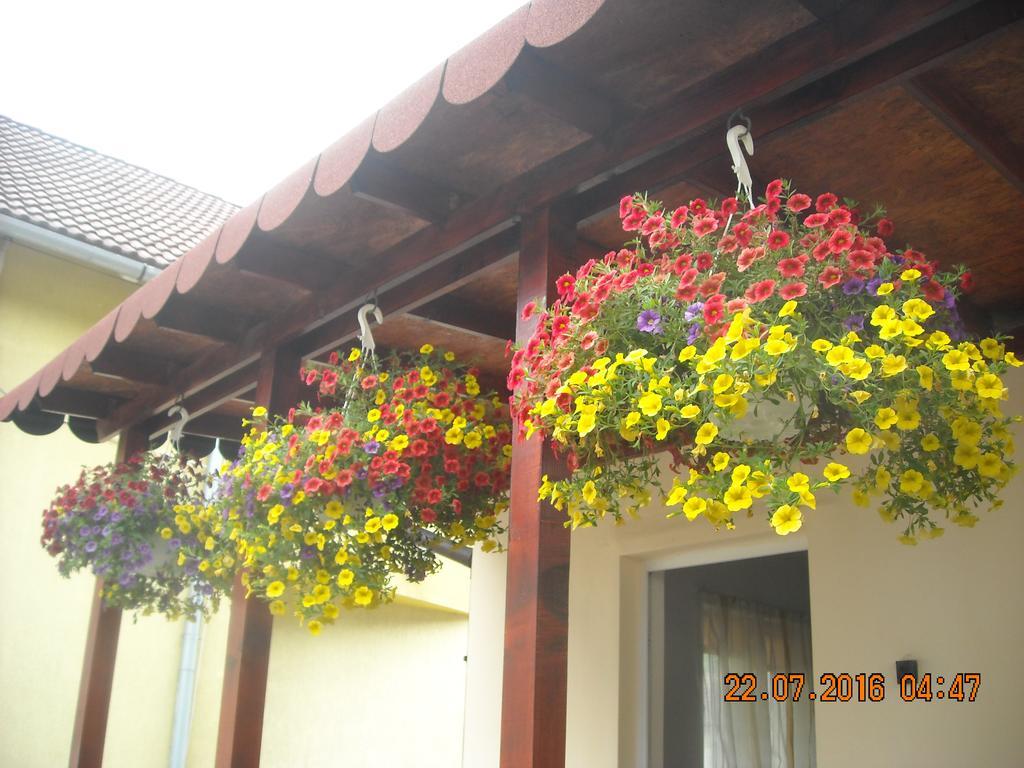 Casa Judith Турда Экстерьер фото